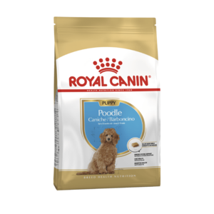 Royal Canin Poodle Puppy - Saco 3 KG