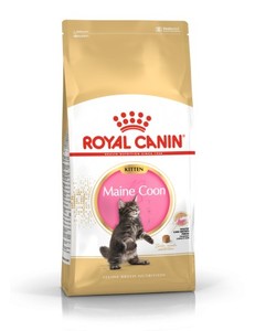 Royal Canin Kitten Maine Coon - Saco 4 KG