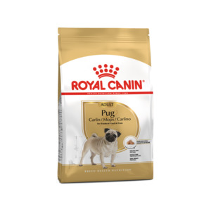 Royal Canin Pug Adult - Saco 3 KG