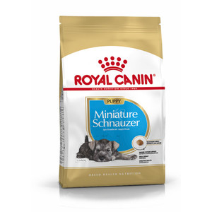 Royal Canin Miniature Schnauzer Puppy - Saco 1,5 KG