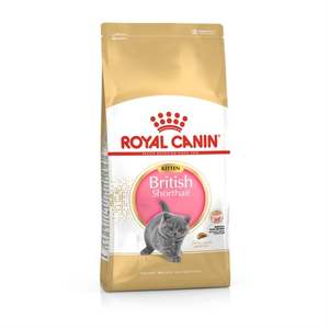 Royal Canin Kitten British Shorthair - Saco 2 KG