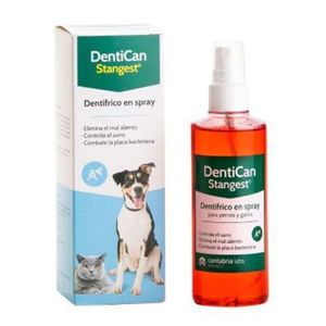 Dentican Spray