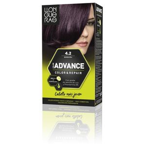 LLONGUERAS Advance Tinte Borgoña 4.2