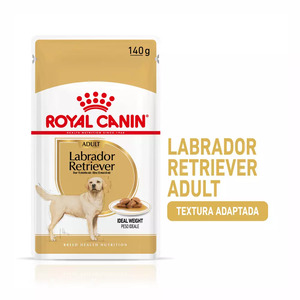 Royal Canin Labrador Adult - Caja 10 x 140 g