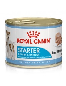 Royal Canin Starter Mousse - Bandeja 12 x 195 g