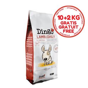 Dingo DOG Lamb & Daily, 10+2Kg Gratis
