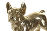 Figura Bulldog dorado