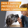 FRONTPRO 3 Comprimidos Desparasitarios Masticables para Perros 4-10 Kg